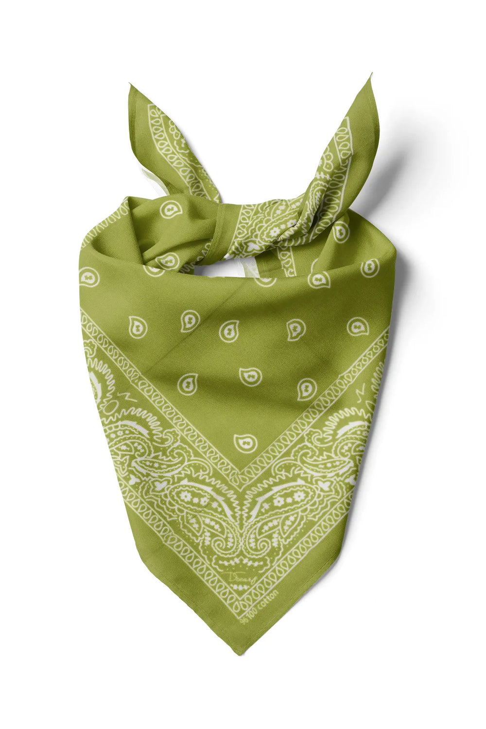 Yeşil Etnik Desen Bandana - Stil Sahibi Kadın Bandana Fular