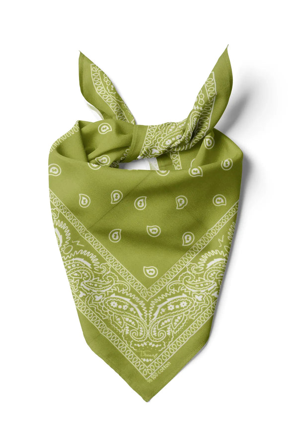 Yeşil Etnik Desen Bandana - Stil Sahibi Kadın Bandana Fular