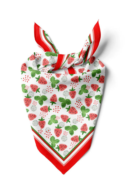 Women's Scarf Bandana